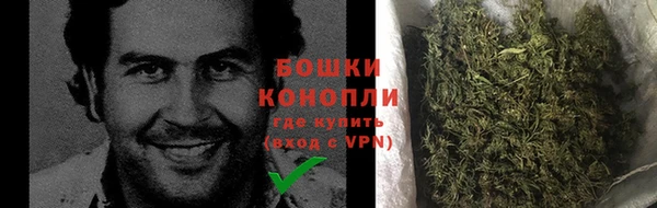 стаф Инта