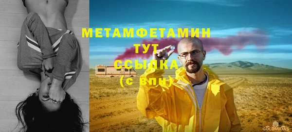 стаф Инта