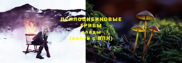 таблы Иннополис