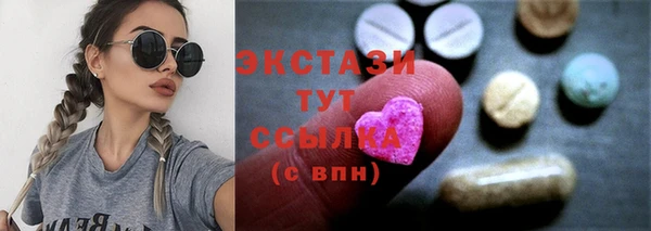 стаф Инта