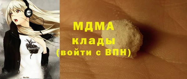 стаф Инта