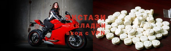 стаф Инта