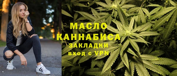 стаф Инта