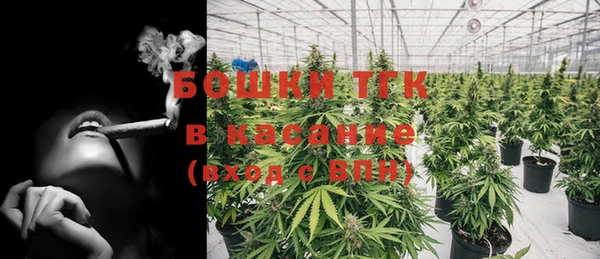 стаф Инта