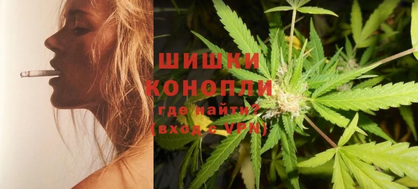 стаф Инта