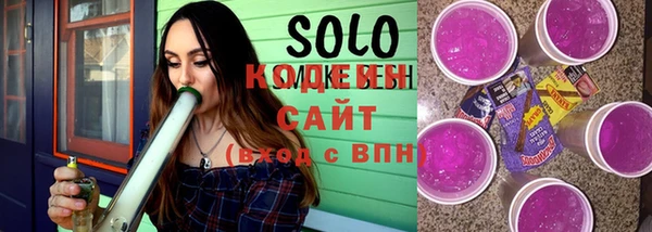 стаф Инта