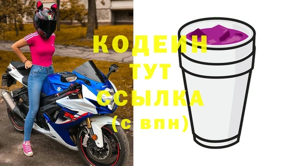 стаф Инта