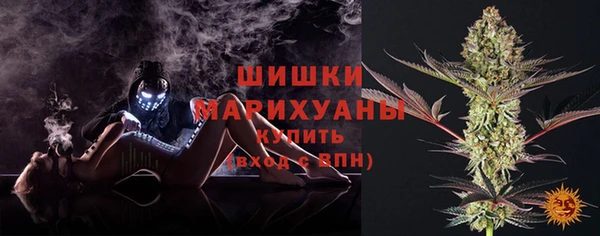 стаф Инта